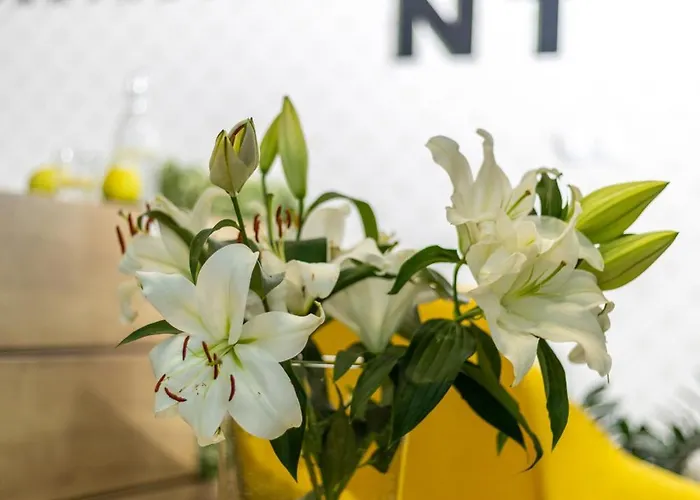 Appartement Absyntapart Stare *